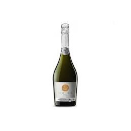 MIGUEL TORRES BRUT PINOT...