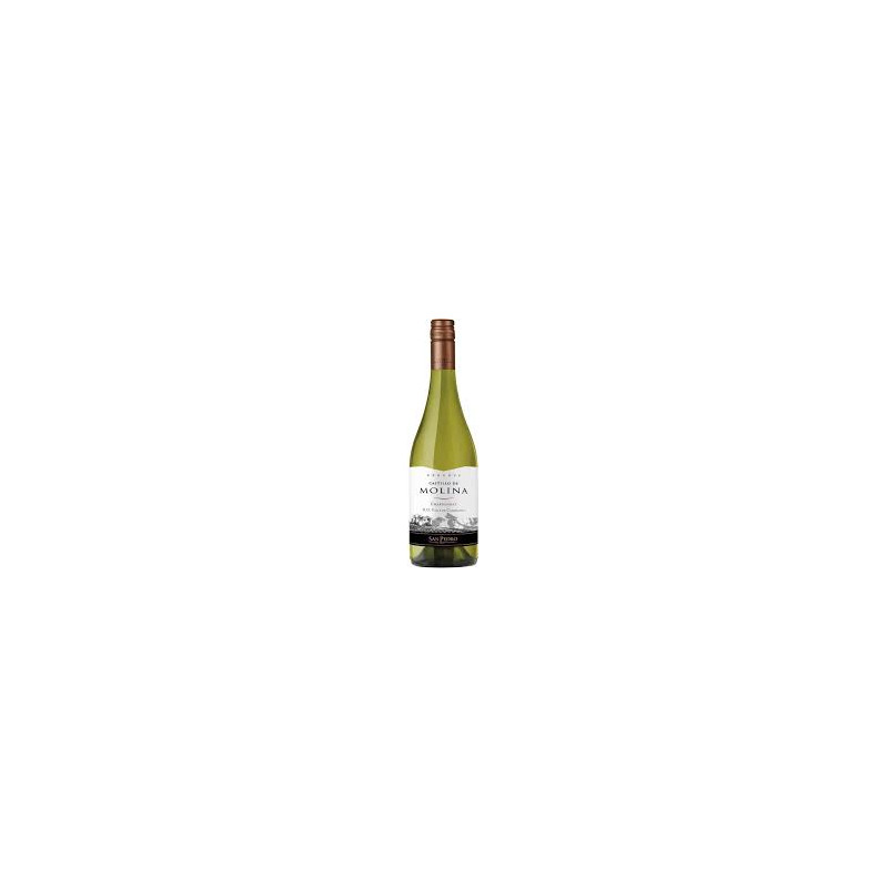 CASTILLO MOLINA CHARDONNAY 750 CC