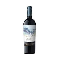 VENTISQUERO RVA. CAB. SAUV....