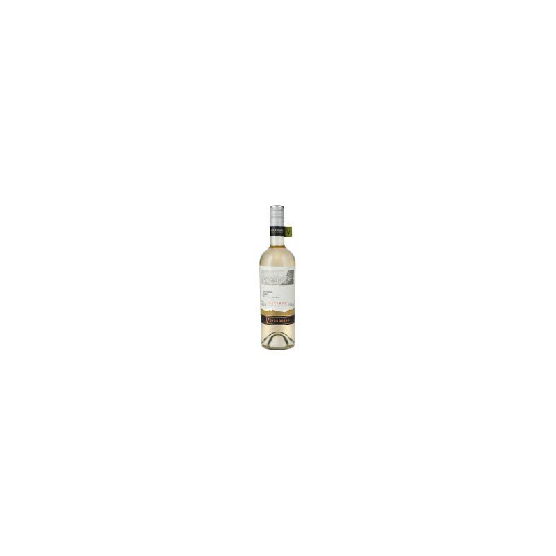 VENTISQUERO RVA. SAUV. BLANC 750 CC.