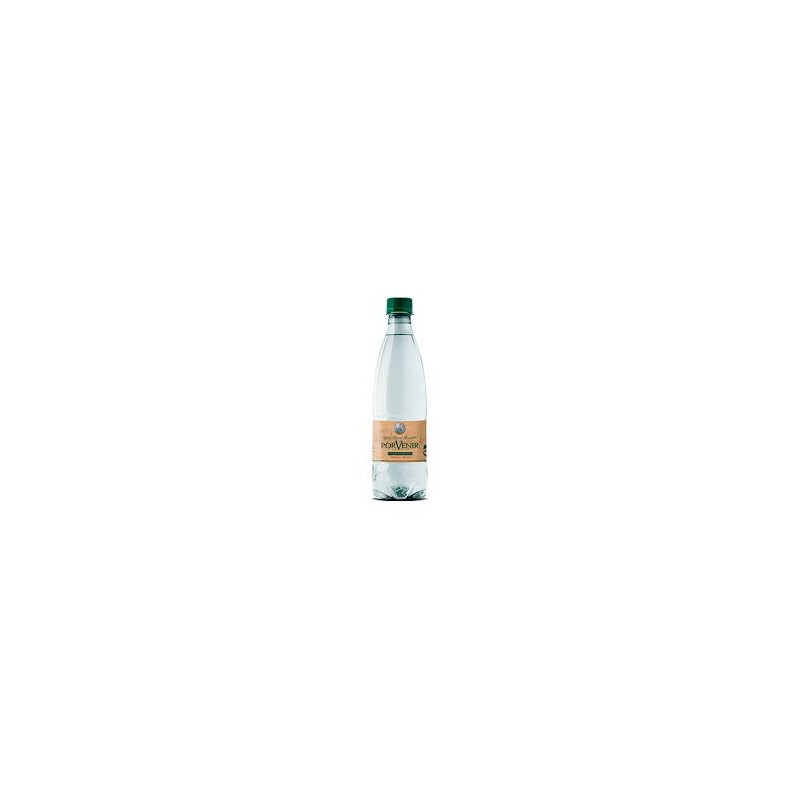 AGUA MINERAL PORVENIR S/GAS 24  330 CC.