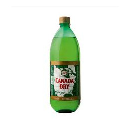 GINGER ALE 6 X 2,5 RET