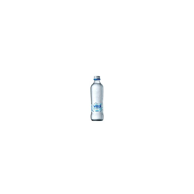 VITAL CON GAS 12 X 330 CC. DESECH.