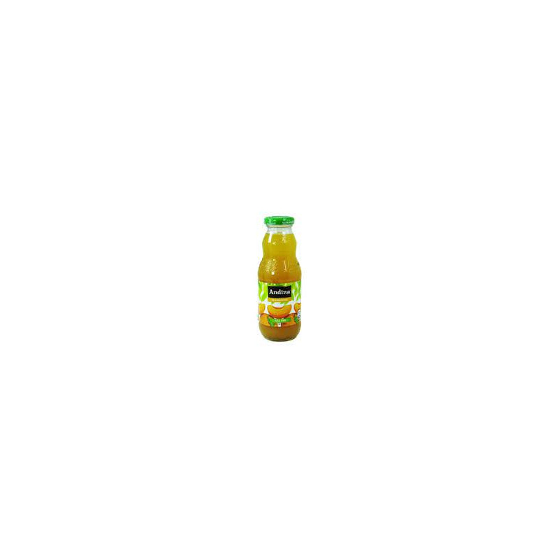 NECTAR ANDINA DAMASCO 6 X 300 CC.