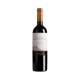 CASTILLO MOLINA CARMENERE...