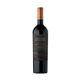 CASTILLO MOLINA TRIBUTO...
