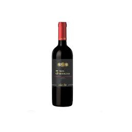 120 GRAN VINO 375 CC  TTO.